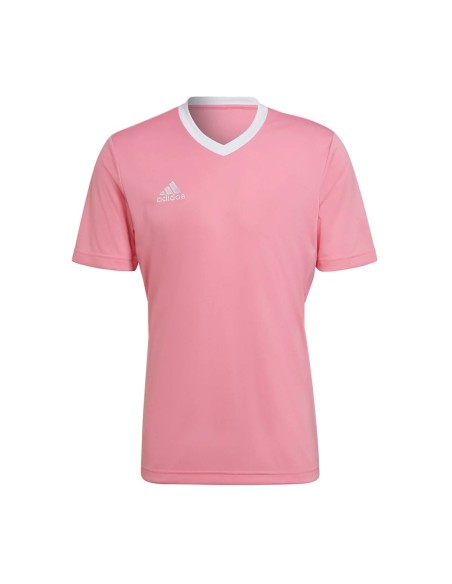 Camiseta Adidas Entrada 22 | Ofertas de pádel
