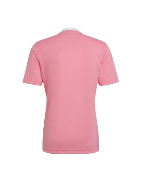 Camiseta Adidas Entrada 22 | Ofertas de pádel