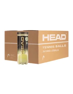 Kiste 24 Dosen 3 Tennisbälle Head Tour Xt