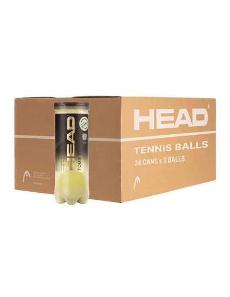 Kiste 24 Dosen 3 Tennisbälle Head Tour Xt