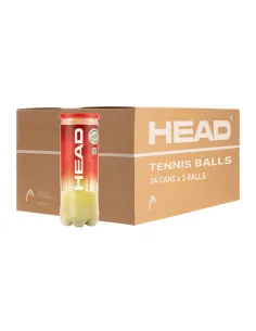 Cajón 24 Botes 3 Bolas De Tenis Head Championship | Ofertas de pádel