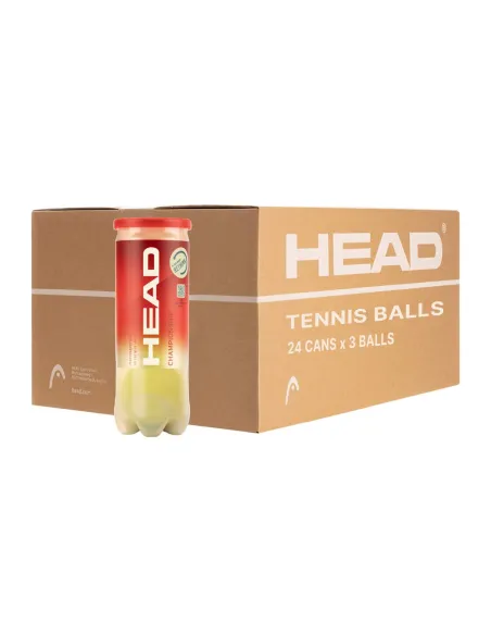 Cajón 24 Bolas de Tênis em 3 Tubos Head Championship | Ofertas de padel