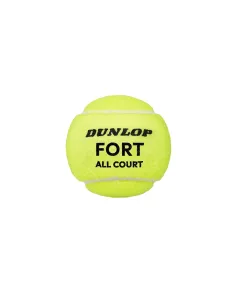 Bottiglia di 4 palline 4 palline Dunlop Fort All Court TS |Padel offers 2