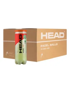 Box of 24 cans of balls Head Pádel | Ofertas de padel