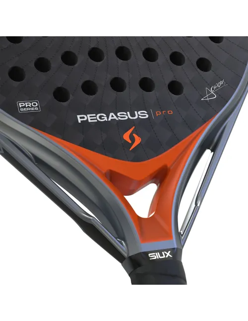 Siux Pegasus Elite 4 | Ofertas de padel