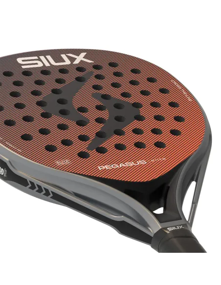 Siux Pegasus Elite 4