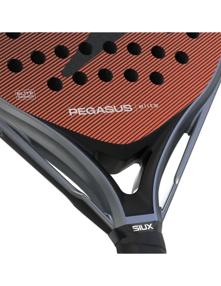 Siux Pegasus Elite 4