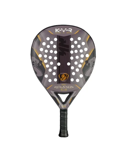 Akkeron Black Pegasus Pro | Ofertas de pádel