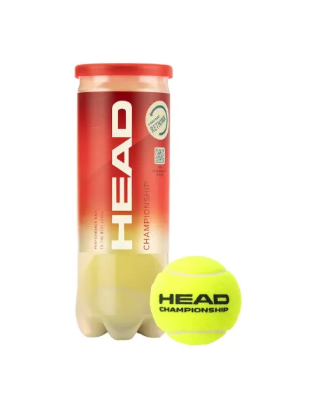 Jogue 3 bolas de tênis Head Championship | Ofertas de padel