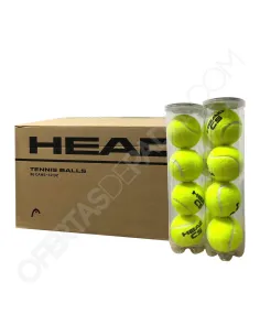 Cajón 36 botes de 4 pelotas Head CS | Ofertas de pádel