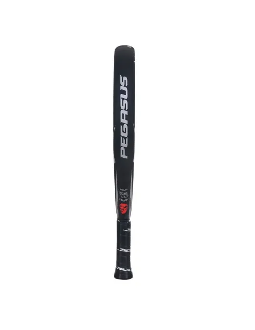 Siux Grafene Pegasus Silver |Padel offers