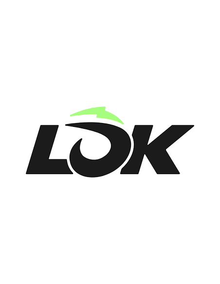 Lok
